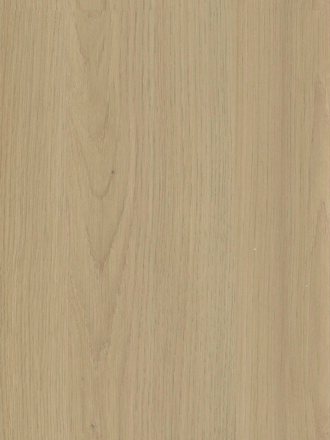 HX-2408.jpg